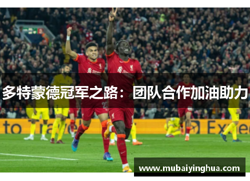 多特蒙德冠军之路：团队合作加油助力